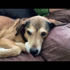 Meet your Posher, Katherine